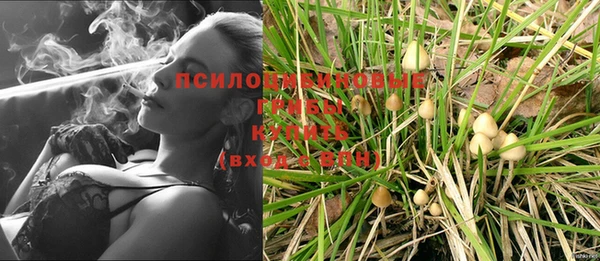 герыч Ладушкин