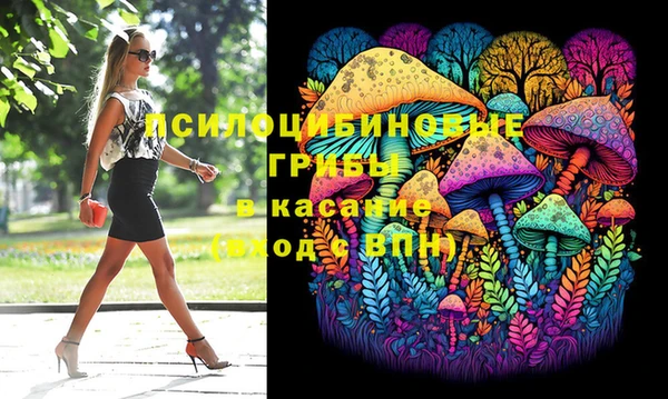 герыч Ладушкин