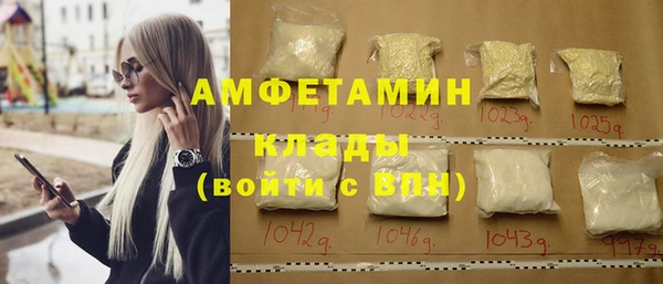 молекула духа Кулебаки