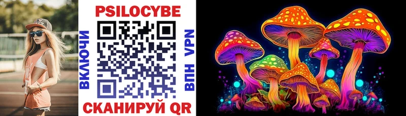 Галлюциногенные грибы Magic Shrooms  цены   Черноголовка 